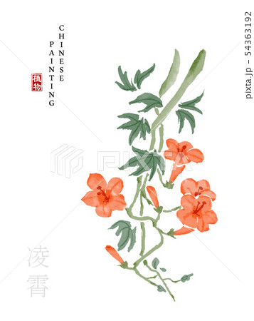 Watercolor Chinese ink paint art illustration 54363192