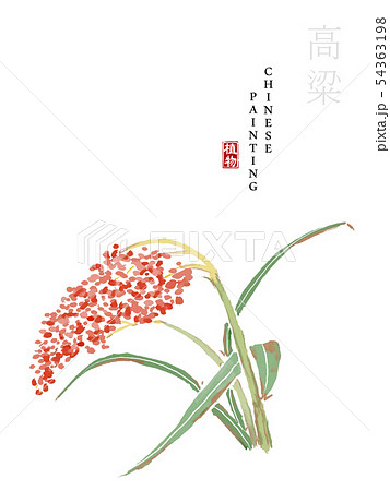 Watercolor Chinese ink paint art illustration 54363198