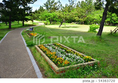 二色浜公園 54363720