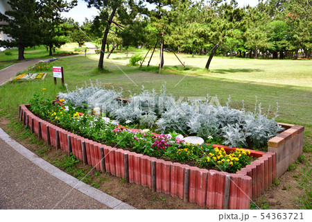 二色浜公園 54363721