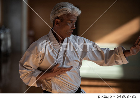 karateka 54363735