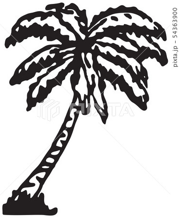 Palm Tree 54363900