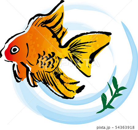金魚 筆のイラスト素材 [54363918] - PIXTA