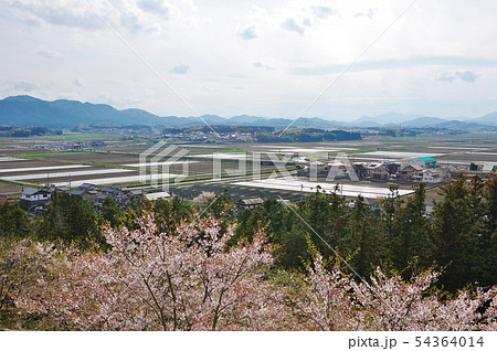 田丸城の天守台 田丸城の天守台 54364014