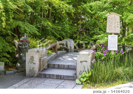 晴明神社　京都 54364020