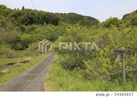 いすみ鉄道　久我原駅（駅入口） 54365657