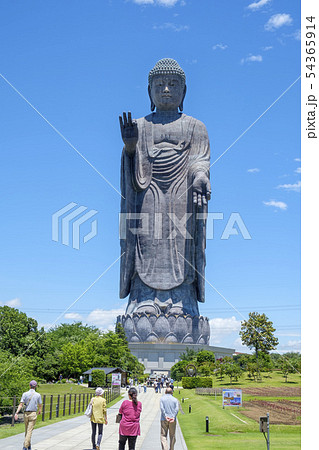牛久の大仏 牛久の大仏 54365914