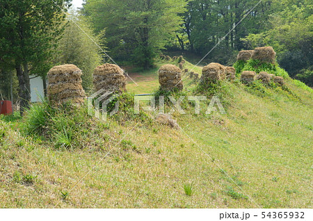 史跡 猪俣百八燈(埼玉県児玉郡美里町猪俣) 史跡 猪俣百八燈(埼玉県児玉郡美里町猪俣) 54365932