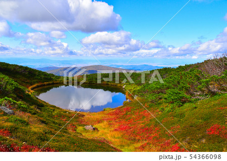 秋　旭平　満月沼 54366098