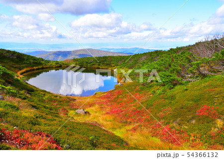 秋　旭平　満月沼 54366132