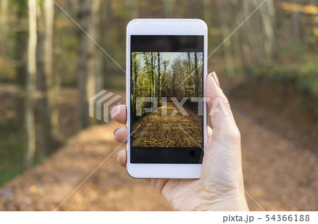 Taking photo with cellphone Taking photo with cellphone 54366188