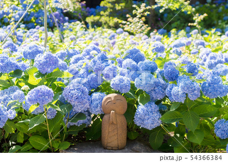 雲昌寺のしあわせ地蔵 54366384