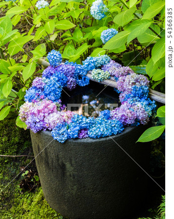 雲昌寺の手水鉢1 雲昌寺の手水鉢1 54366385