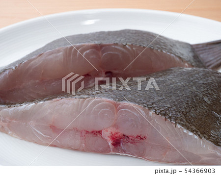 ヒラメの切り身　 54366903