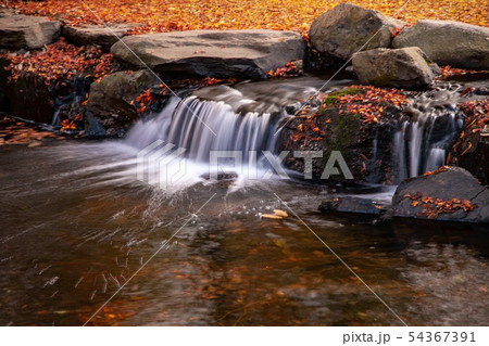 写真 自然 風景 54367391