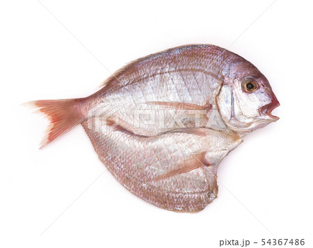 チコダイの干物 54367486