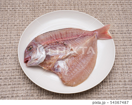 チコダイの干物 54367487