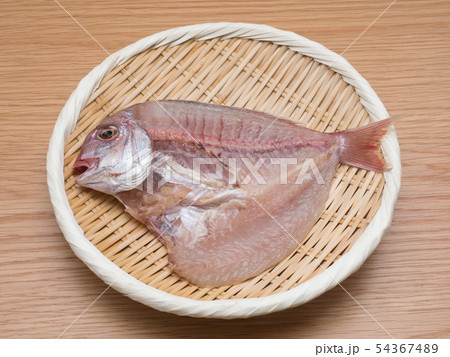 チコダイの干物 54367489