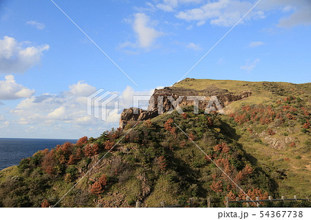 隠岐諸島　隠岐諸島の奇岩　隠岐諸島の岸壁　隠岐諸島の風景 54367738
