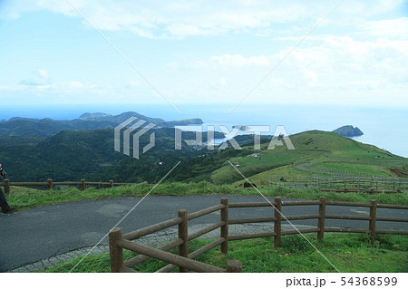 隠岐諸島　隠岐諸島の牧場　隠岐諸島の牛牧場　隠岐諸島の風景 54368599