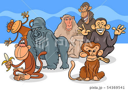 monkeys and apes cartoon characters group 54369541