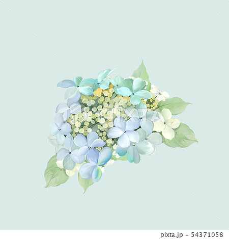 透明水彩 水彩画 花 54371058