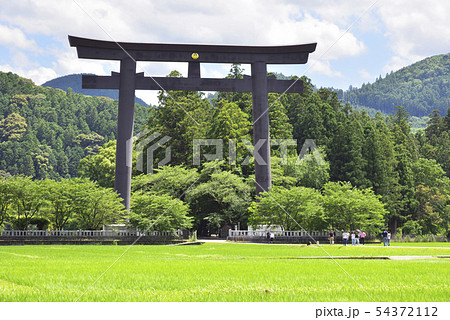 熊野本宮旧社地　大斎原（和歌山県田辺市） 54372112