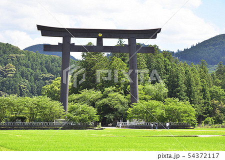 熊野本宮旧社地　大斎原（和歌山県田辺市） 54372117