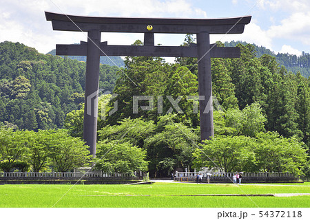 熊野本宮旧社地　大斎原（和歌山県田辺市） 54372118