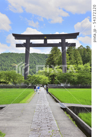 熊野本宮旧社地　大斎原（和歌山県田辺市） 54372120