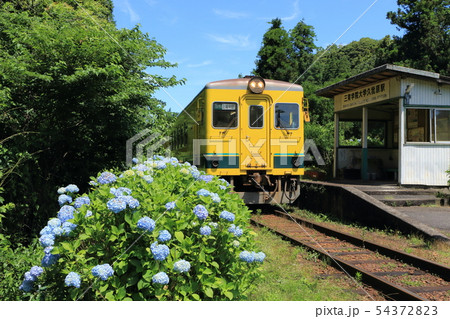 いすみ鉄道「紫陽花咲く久我原駅」青空を背景に いすみ鉄道「紫陽花咲く久我原駅」青空を背景に 54372823