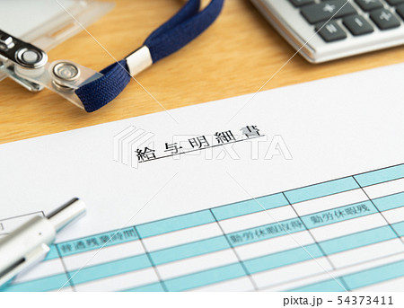 給与明細書　月給　給料 54373411