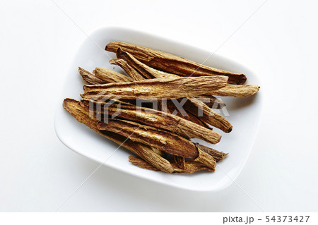 乾燥ごぼう ゴボウ茶 漢方健康食品 乾燥ごぼう ゴボウ茶 漢方健康食品 54373427