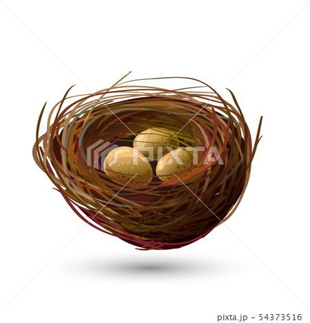 Bird Nest and golden Eggs 54373516