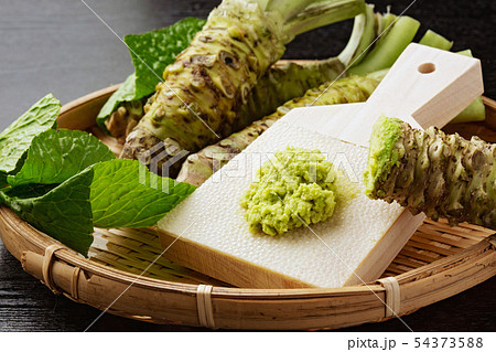 本ワサビ 54373588