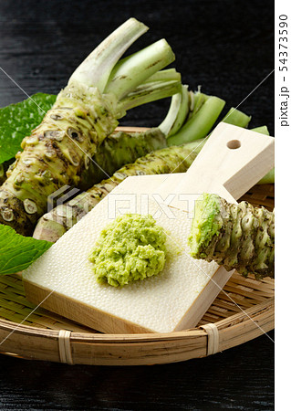 本ワサビ 54373590