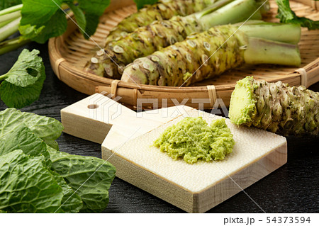 本ワサビ 54373594