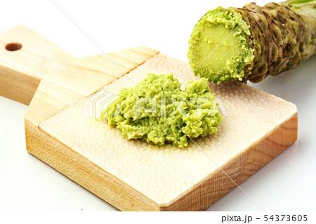 本ワサビ 本ワサビ 54373605