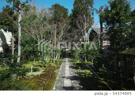 鹿王院 参道 鹿王院 参道 54374005