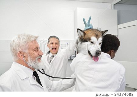 Vets having fun, doctor doing v sign to dog. Vets having fun, doctor doing v sign to dog. 54374088