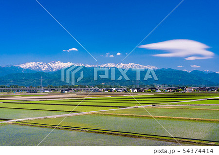 （富山県）入善PAから望む、水田と北アルプスの山並み 54374414