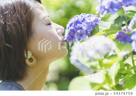 紫陽花とカメラ女子 紫陽花とカメラ女子 54374759