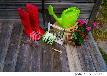 Shovel, watering can, hat, rubber boots, box of flowers, gloves and garden tools 54375145