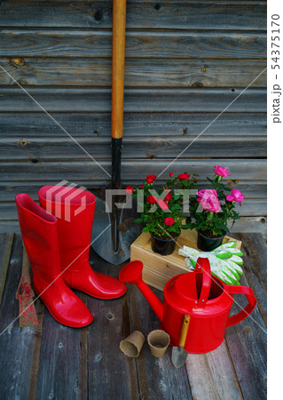 Shovel, watering can, hat, rubber boots, box of flowers, gloves and garden tools Shovel, watering can, hat, rubber boots, box of flowers, gloves and garden tools 54375170