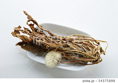 乾燥タンポポ 蒲公英 乾燥タンポポ 蒲公英 54375898