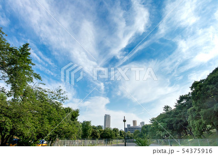 青山公園 54375916