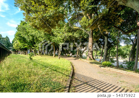 青山公園 54375922