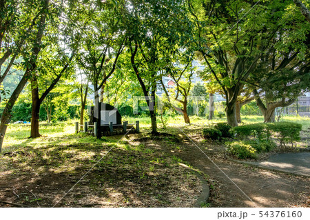 青山公園 54376160