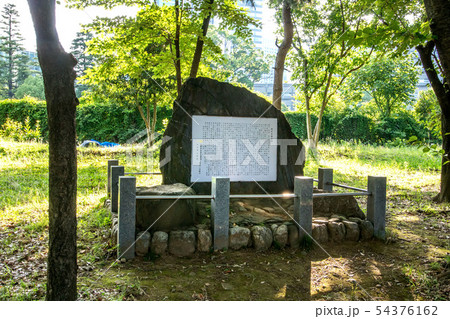 青山公園 54376162