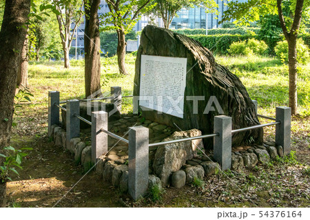 青山公園 青山公園 54376164